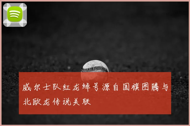 威尔士队红龙绰号源自国旗图腾与北欧龙传说关联