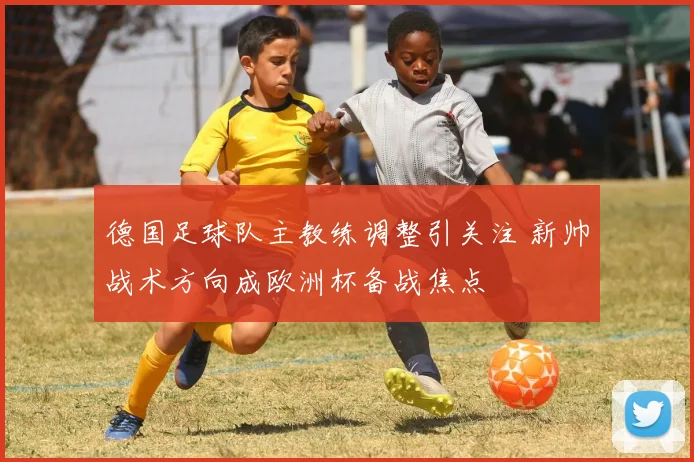 德国足球队主教练调整引关注 新帅战术方向成欧洲杯备战焦点