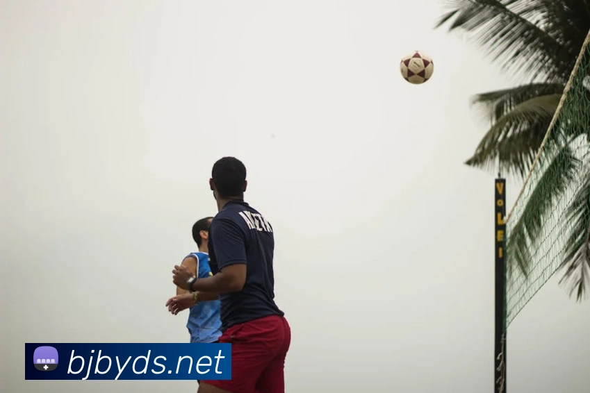 App Interface Preview